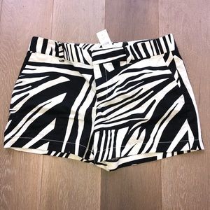 NWT Loft zebra print shorts